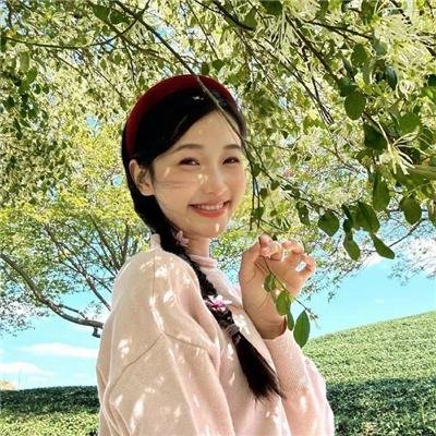 圣诞兔子海报